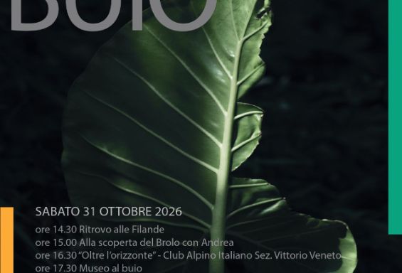 Luce e buio