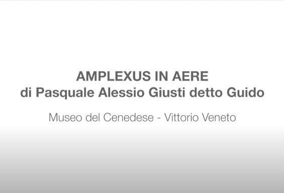 "Amplexus in aere" di Guido Giusti, Museo del Cenedese